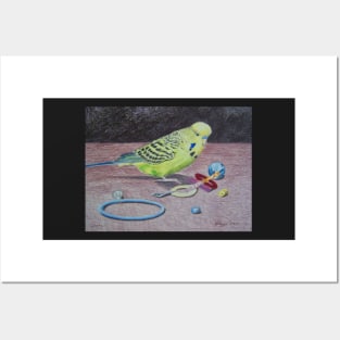 Budgie in coloured pencil Posters and Art